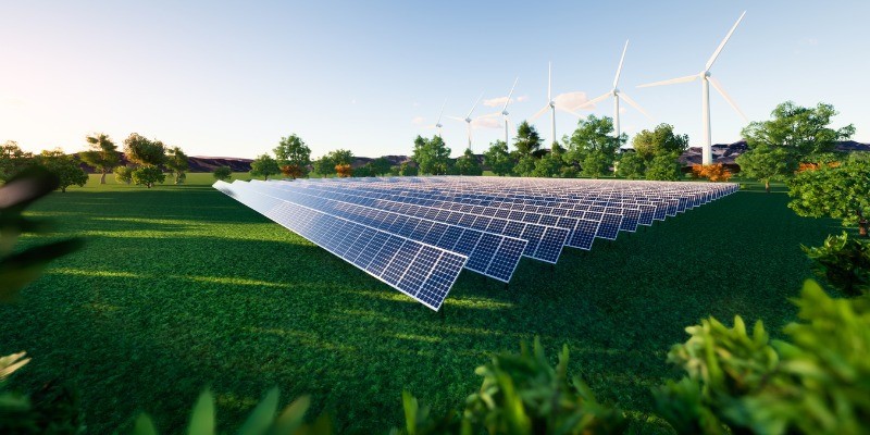 solar panels in a field facing the sun